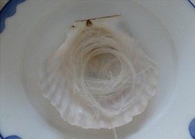 4、蒜蓉粉丝蒸扇贝,粉丝泡软，铺在扇贝壳上面。