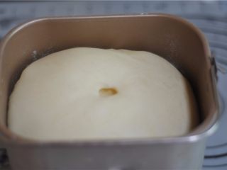 5、紫薯红豆卷,将面团发酵好