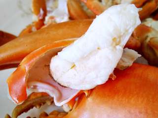 13、清蒸海蟹,香喷喷