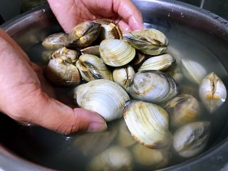 1、清煮文蛤,文蛤清洗干净，捞出来。阿姨说她买的是干净的文蛤不需要吐沙，清洗几遍，洗干净就可以了。在买文蛤的时候，可以问一下店家，这个文蛤需不需要吐沙，如果需要的话，文蛤就提前2~4小时放入加了盐的清水中泡上，让文蛤吐沙。