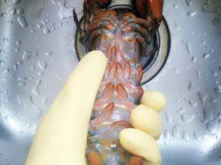 1、芝士焗龙虾,首先，是最虐心的环节，给龙虾放尿，胆小女生勿入！用筷子插入龙虾的底部尿口，多捅几次，让它把尿排干净