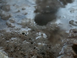 4、羊蝎子火锅,水开撇去浮沫,将羊蝎子用温水洗干净