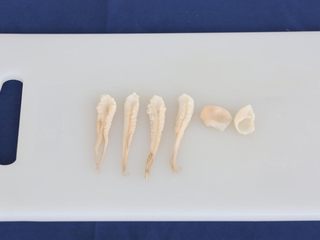 11、香辣美味八爪鱼,改刀小块