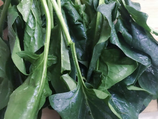 1、猫耳朵面,菠菜清洗干净。