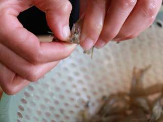 1、腌制冷鲜虾,虾先洗干净,去头