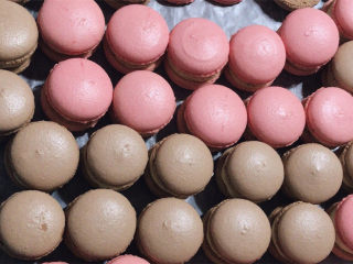 11、马卡龙万能乳酪馅,一大波小马来袭~