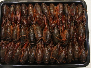 7、清蒸小龙虾,处理好的小龙虾再放清水一两遍，沥干水备用，丢20克生姜在里面