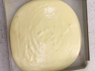 9、经典瑞士卷（原味）,把搅拌好的面糊倒进磨具中。轻轻振出气泡。