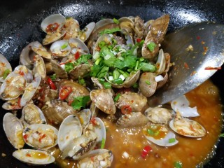 12、＃辣味＃蒜泥剁椒炒花甲,撒上葱花，香菜末翻匀