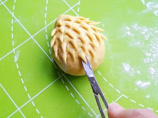 5、南瓜花样馒头,用修眉毛的小剪刀，剪出刺猬的刺，从头到尾一排排，交叉剪