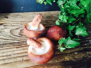 1、三文鱼炒蔬菜,香菇洗净