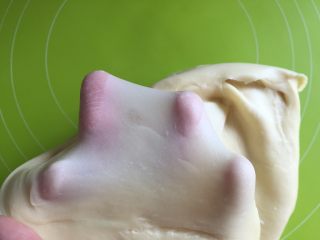 4、黄桃椰蓉心形面包,一个揉面程序完成，面团可以拉出薄膜