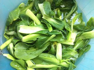 3、自制空心面（饺子皮版）,青菜洗净在清水中浸泡一会儿