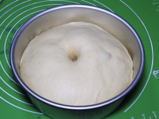 13、原味牛角面包,拿出来，用手指戳一下不反弹，就证明发酵成功了！