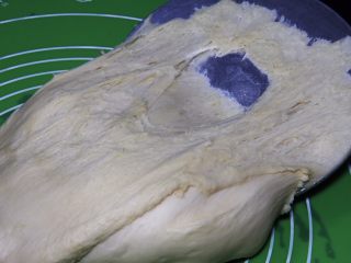 14、原味牛角面包,面团发酵后，拿出来的状态。
