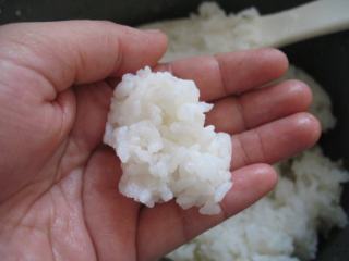 3、三文鱼寿司 ,醋饭晾凉后，手要先沾水，以免米饭沾手。用手取一小块米饭，放在左手上，大概10克左右的重量