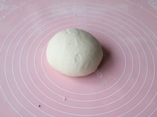 9、老家肉饼,酵母用温开水融化，加入面粉里再加适量温水和成柔软不粘手的面图，静置10分钟；