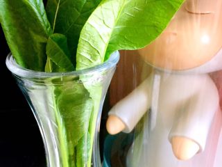 3、稻荷寿司,时令蔬菜我用的小松菜、洗净,过一下水