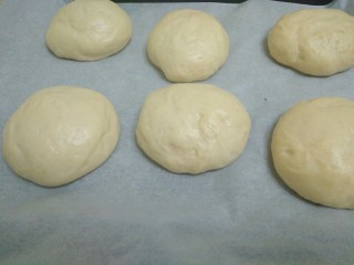 6、迷你巨无霸汉堡包～汉堡胚制作～,面团拿出来分成六个一样大小的面团滚圆，盖上保鲜膜，放在温暖的地方发酵15分钟，我家现在31度，很适合发酵_(:з」∠)_（31度我还烤面包，我是不是不正常？）