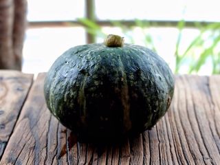 1、燕麦南瓜饭,准备一个南瓜