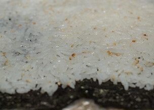 4、青瓜芒果寿司,在寿司帘上铺上保鲜膜，放上海苔，将米饭扑到到海苔上