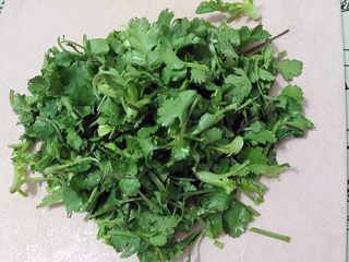 10、辣炒花蚬子,香菜切段。