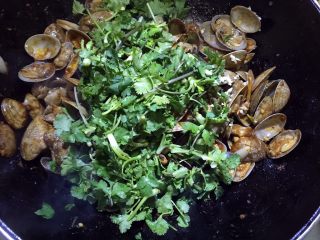 15、辣炒花蚬子,放入香菜段翻炒片刻。