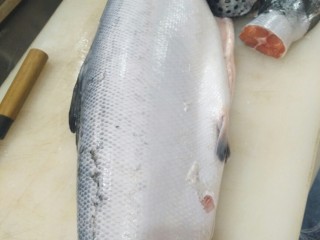 2、三文鱼刺身,用刀将鱼鳞削除，去头尾。