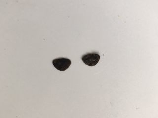 5、重口味恶搞早餐之熊猫吃翔,这就是用压花器压出的眼睛，如果没有压花器也可以用剪刀剪两个圆