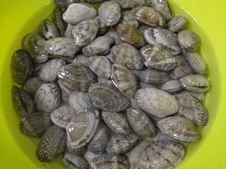 2、锡纸花甲粉,花甲用一点盐和一勺香油加水拌匀吐沙，水不能太多，花甲也是需要呼吸的，水太深触角伸不出来不得憋死????????