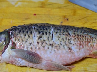 1、家常炖鱼,鲤鱼去鳞，去内脏，去腮，洗净，身子反正面轻轻划两刀
