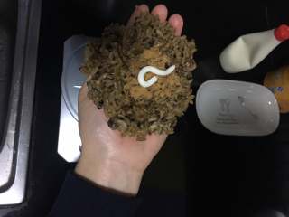 11、香香的杂粮核桃饭团,在手心摊平,舀上一小勺肉松,挤上一点点沙拉酱。