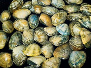 14、烤三鲜拼盘,买回来的花蛤提前放盐水里养，帮助吐沙后洗净，锅里放少量水和花蛤一块放入哦，水不要多。