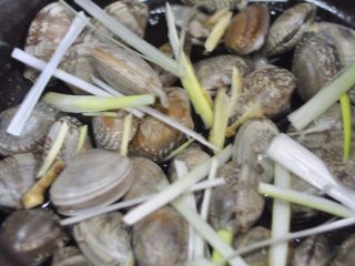 4、蒜蓉蛤蜊,将蛤蜊一个个的夹进砂锅里,上面撒上葱姜丝,这个时候再开火。