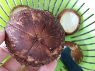 7、香菇肉丸(可蒸可烤),香菇背上用小刀轻轻划几条口子,不要太用力哦