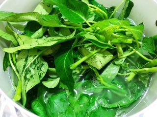 11、最销魂之重庆小面,用锅里的水把菜焯熟