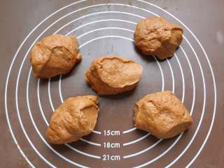 10、巧克力胖肚脐面包|手揉党,轻柔排气，均匀分割成5等份