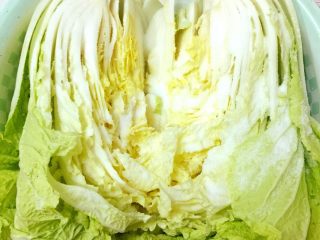 4、Diy 正宗韩国辣白菜,把大白菜从中间剖开,放入干净的盆中。