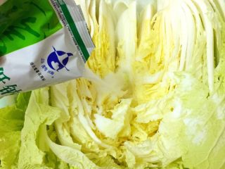 5、Diy 正宗韩国辣白菜,在每一片叶子中间均匀撒上低钠盐,腌制12小时以上。