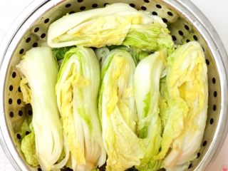 6、Diy 正宗韩国辣白菜,把腌制好的大白菜叶挤干水份。