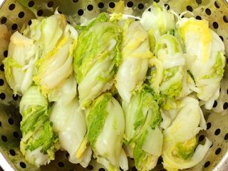 7、Diy 正宗韩国辣白菜,再次挤干水份,把大白菜挤捏成小块状备用。