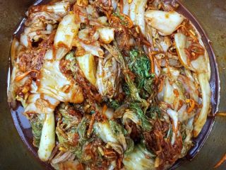 12、Diy 正宗韩国辣白菜,把大白菜依次放入,保证每一片叶子都抹到酱料。