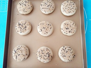 27、蟹壳黄烧饼,摆放烤盘。