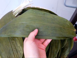 6、不同类型粽子的包法,开始教大家怎么包粽子啦，首先选两张差不多大小，比较大一点的粽子叶。