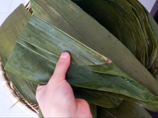 9、不同类型粽子的包法,再次把粽叶对折。形成一个簸箕状的容器了