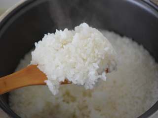 5、寿司,取两勺熟米饭。