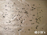 3、双拼里卷寿司,保鲜袋上撒一些黑芝麻