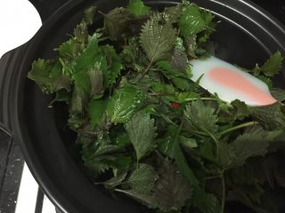 20、砂锅紫苏脆鲩鱼,放入紫苏叶