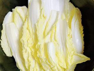 10、番茄火锅,砂锅中放入娃娃菜垫在底部。