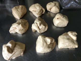 4、胚芽金枪鱼包,发酵好之后稍稍排气，用电子秤分割成100g一个的面团